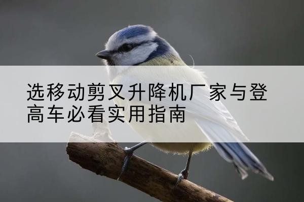 梁溪电动升降机厂家-选移动剪叉升降机厂家与登高车必看实用指南
