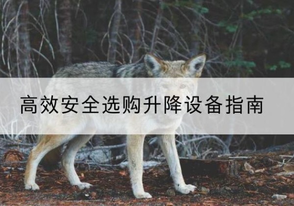 梁溪升降货梯厂家推荐-*安全选购升降设备指南