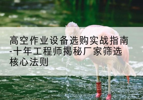 梁溪剪叉式升降机厂家-高空作业设备选购实战指南-十年工程师揭秘厂家筛选核心法则